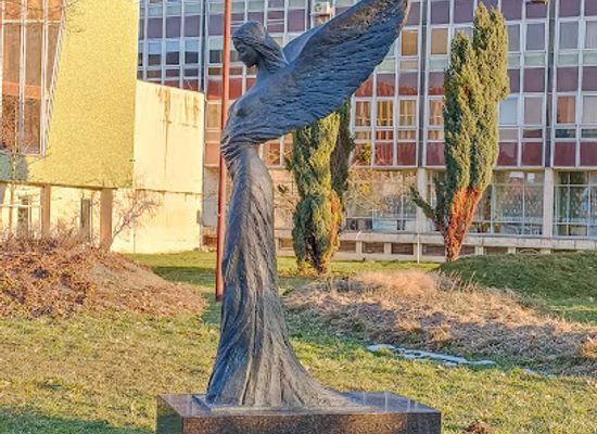 slovakia/presov-region/attraction/presovska-sloboda