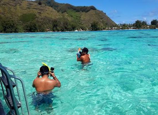 french-polynesia/moorea/attraction/enjoy-boat-tours-moorea