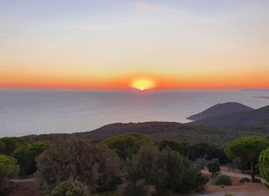 italy/maremma/attraction/torre-di-poggio-raso