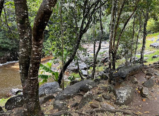madagascar/atsimo-andrefana/attraction/cascade-de-manantantely