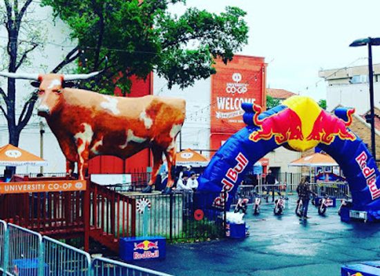 texas/austin/attraction/world-s-largest-longhorn