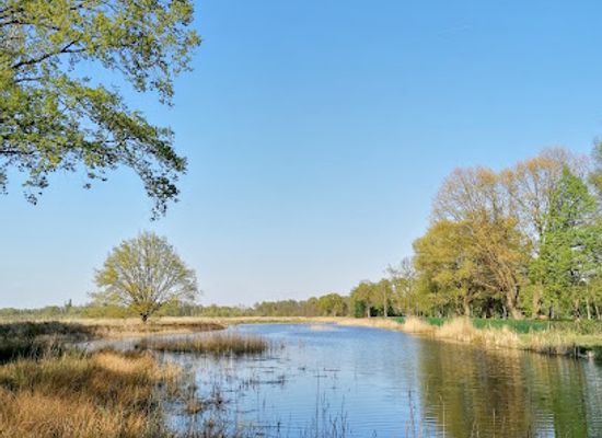 belgium/limburg/attraction/platwijers