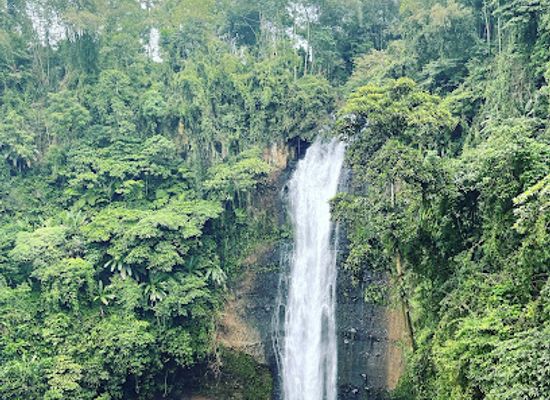 philippines/northern-mindanao/attraction/alalum-falls