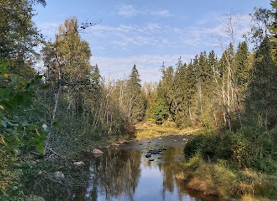 latvia/gauja-river/attraction/cecili-nature-trail