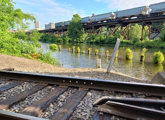 virginia/greater-richmond-region/attraction/great-shiplock-park