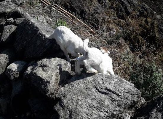 nepal/pokhara/attraction/ulleri