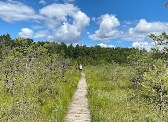 lithuania/trakai-island-castle/attraction/varnikai-nature-trail