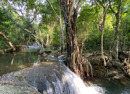 indonesia/pulau-moyo/attraction/air-terjun-diwu-mba-i