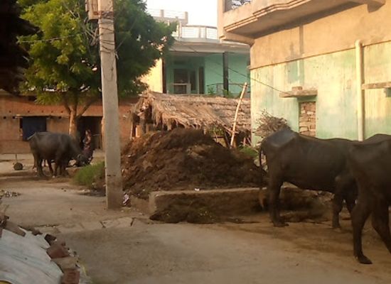 india/uttar-pradesh/attraction/ahiran-ka-poora-dari