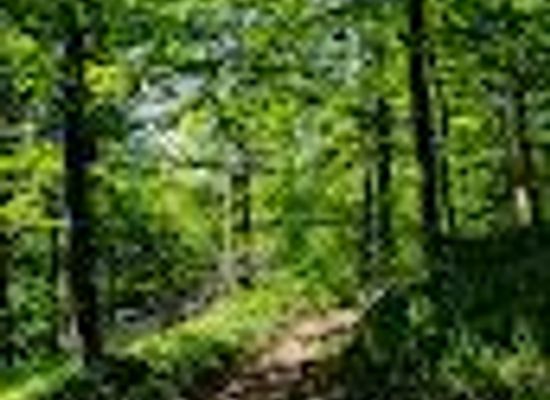romania/covasna/attraction/muntele-puturosu