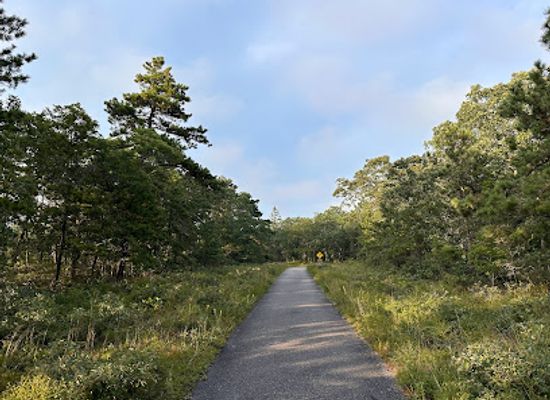 massachusetts/martha-s-vineyard/attraction/heath-hen-monument
