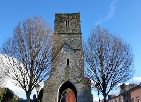 united-kingdom/cork/landmark/red-abbey-tower