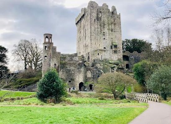 ireland/kinsale/attraction/blarney-castle-gardens