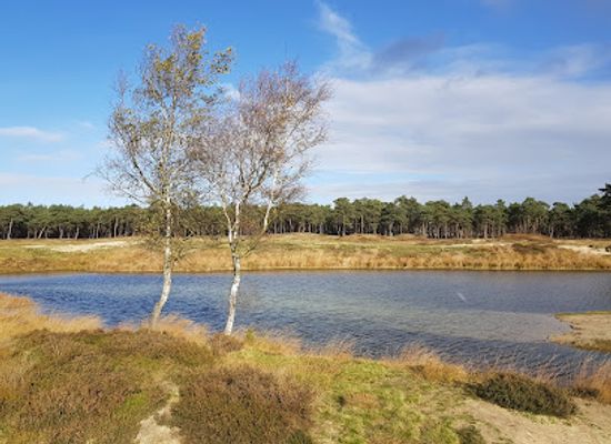netherlands/west-friesland/attraction/bosmeertje
