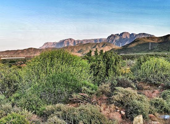 south-africa/breede-river-valley/attraction/worcester-wine-and-olive-route