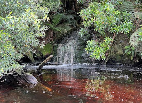 australia/tasmanian-wilderness/attraction/lovers-falls