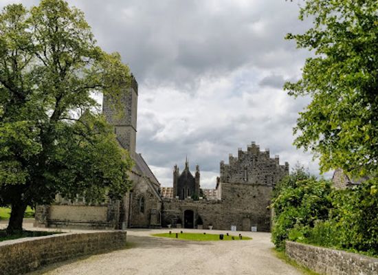 ireland/county-limerick/attraction/augustinian-friary