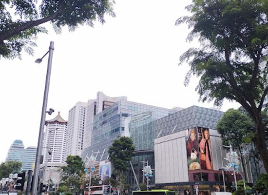 singapore/orchard-road/attraction/bounce-singapore-pte-ltd