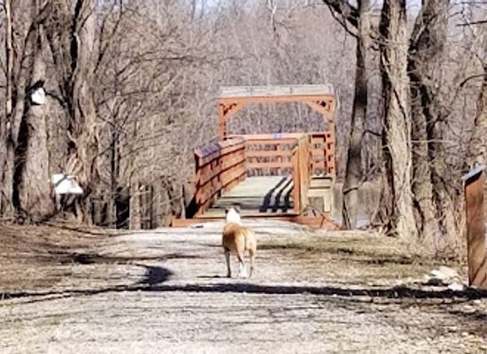 indiana/southern-indiana/attraction/eagle-slough-natural-area