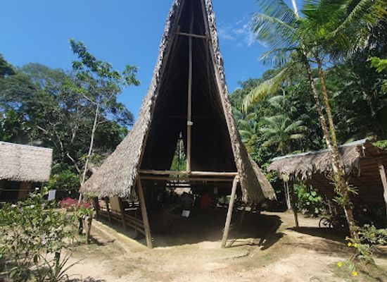 colombia/leticia/attraction/reserva-natural-tanimboca