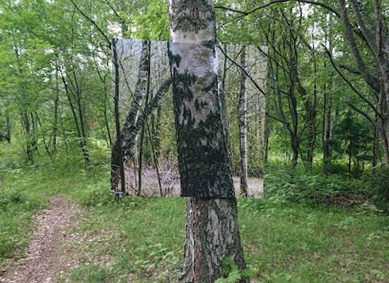 finland/north-ostrobothnia/attraction/environmental-art-trail-pikinen-poloku