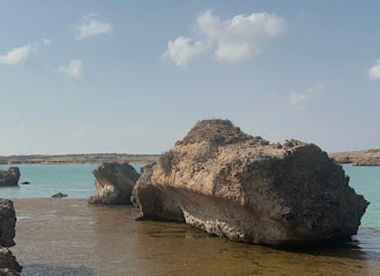 saudi-arabia/farasan-islands/attraction/