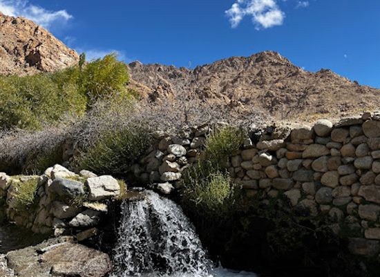 india/leh-ladakh/attraction/yangthan