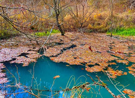 armenia/dilijan-national-park/attraction/hidden-blue-swamp