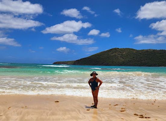 puerto-rico/culebra-island/attraction/culebra-divers