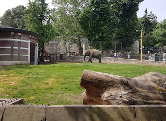 serbia/raska/attraction/belgrade-zoo
