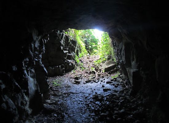 micronesia/pohnpei/attraction/japanese-caves-at-tonoas-highest-peak