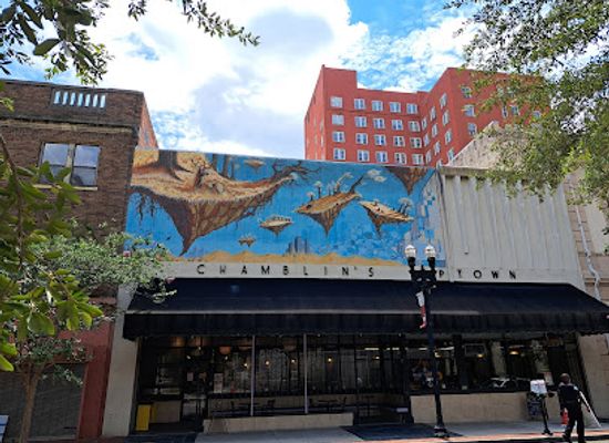florida/jacksonville/downtown-jacksonville/attraction/wall-art