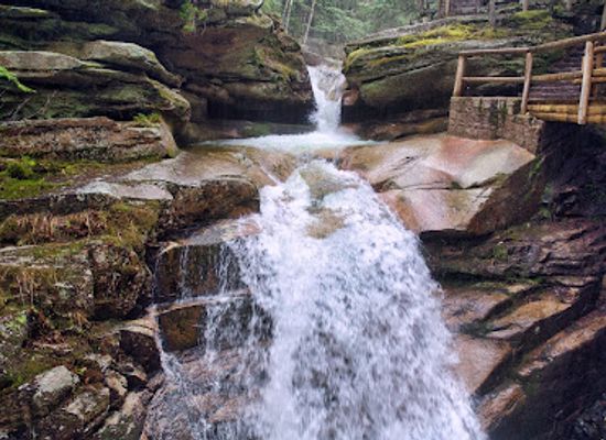 new-hampshire/lakes-region/attraction/flume-gorge