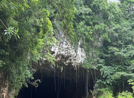 belize/vaca-plateau/attraction/sealand-expeditions