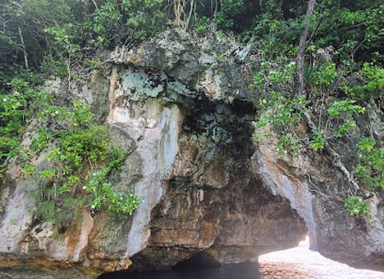 palau/peleliu-island/attraction/ulong-channel-dive-spot