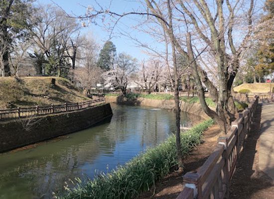 japan/kanto/attraction/koizumi-castle