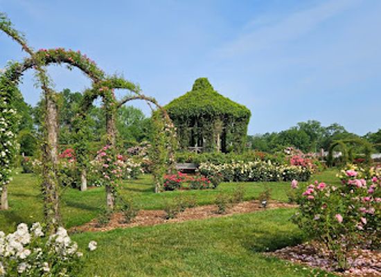 connecticut/ski-sundown/attraction/elizabeth-park-rose-garden