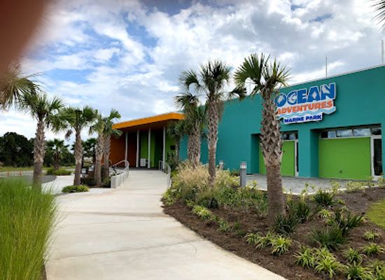 mississippi/the-gulf-coast/attraction/institute-for-marine-mammal-studies