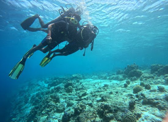 maldives/hulhumale-island/attraction/furuba-beach-by-dive-club-maldives