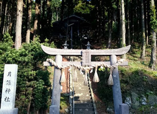 japan/iki/attraction/tsukiyomi-shrine