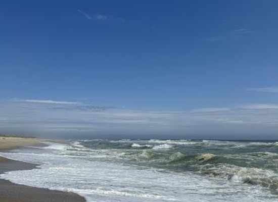 massachusetts/nantucket/attraction/cisco-beach