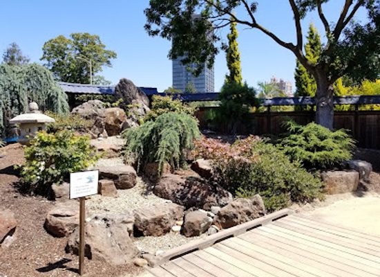 california/oakland/attraction/bonsai-garden