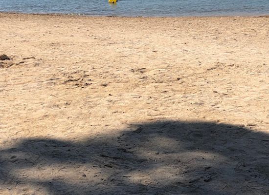 france/saint-tropez/attraction/plage-du-pin-parasol