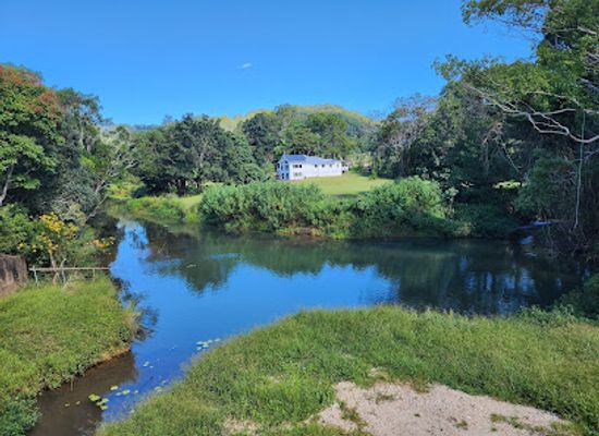 australia/northern-rivers/attraction/northern-rivers-rail-trail-the-tweed-section-24-km