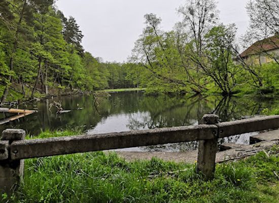 poland/masurian-lake-district/attraction/zrodla-rzeki-lyny