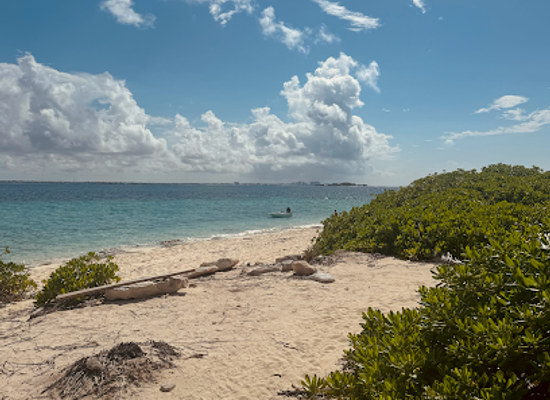 the-bahamas/new-providence/attraction/captain-s-marine