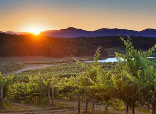 arizona/verde-valley/attraction/d-vine-detours