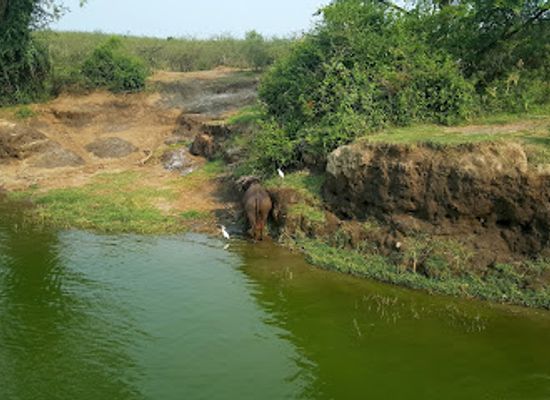 uganda/queen-elizabeth-national-park/attraction/queen-elizabeth-national-park-tourisit-vehicle-for-hire-at-katunguru