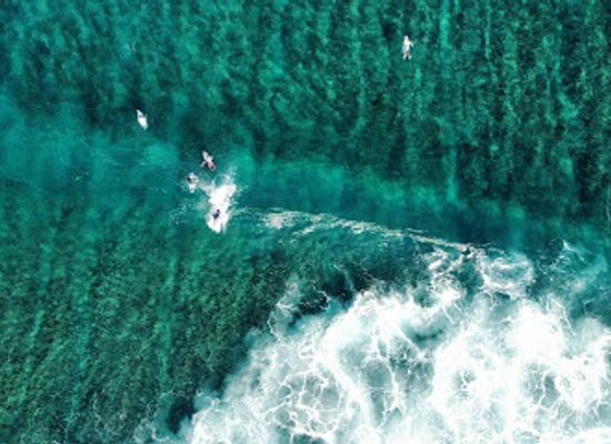 maldives/thulusdhoo/attraction/surf-point-cokes