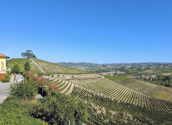 italy/langhe/attraction/az-ag-cordero-di-montezemolo